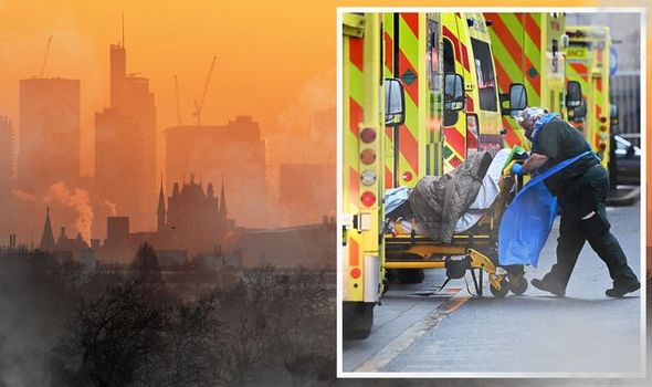 Ariel fashion shoot case study picture